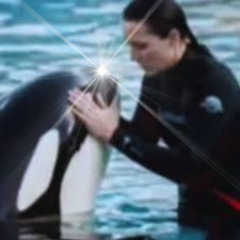Full**News Jessica orca angriff jessica orca attack orca attack jessica radcliffe jessica radcliffe attack full twitter
