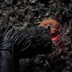 yeschapskii - dj pumpkin (speed up)