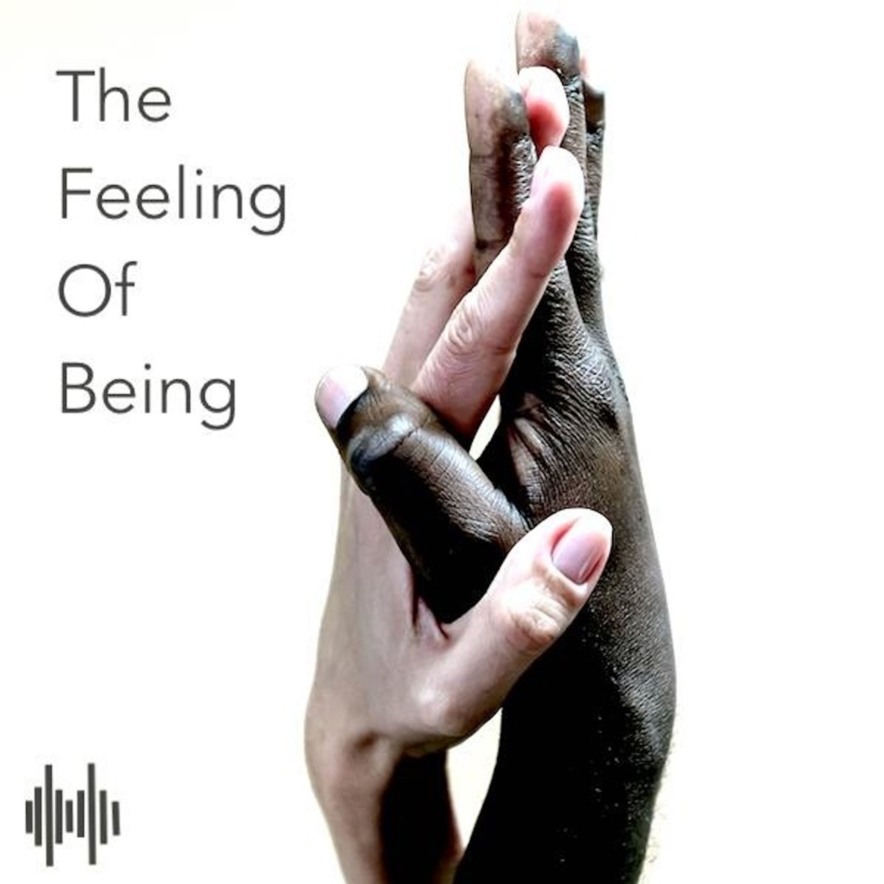 The Feeling Of Being episode artwork