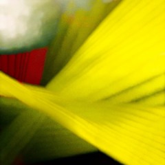 996 McKenzie 8 - Audio 0015 [2021 - 05 - 16 152455]