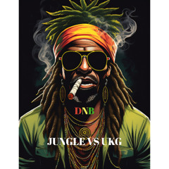 JUNGLE VS DNB: W.I.P