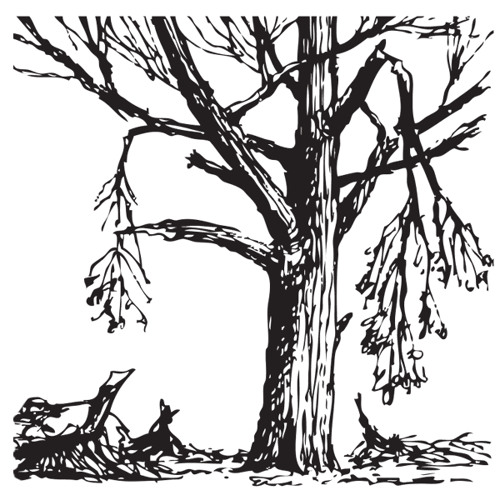 save you (prod. farber)