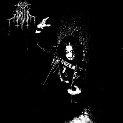 Druid- Nackskott (Guitar Cover)