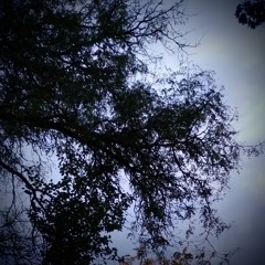 into the gray