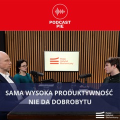 Sama wysoka produktywność nie da dobrobytu