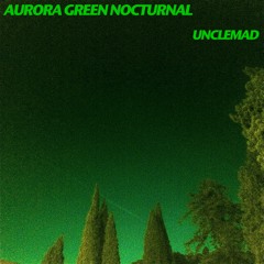 7 - Starry Landscape - Album AURORA GREEN NOCTURNAL