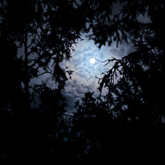 ‎⁨ذكرتني طلعة البـدر⁩