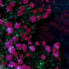beats to garden/brainwash to