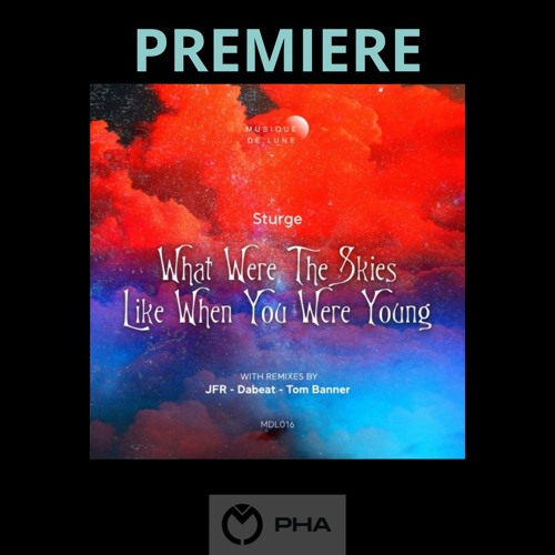 PREMIERE: Sturge - What Were The Skies Like When You Were Young ( Dabeat Groovy Remix ) MDL