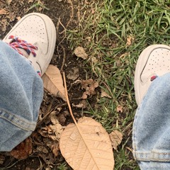 📿💸🍀🕺🏽🎰👑🍇