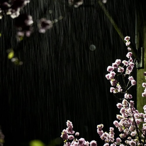Rain Dances October 2024 Mix by Yellowbird