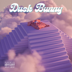 Dusk Bunny