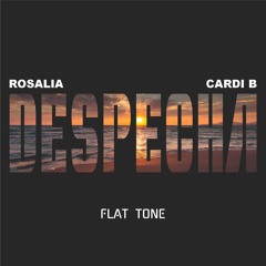 [snippet] Rosalia & Cardi B - Despecha (Flat Tone ReMix) (Filtered for copyright)