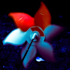 Umbrella For The Bombs