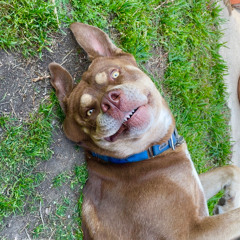 Mase - Feel So Gooood (GRIMIS REMIX)