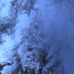 wlr175 Various Artists - Sleeplaboratory5.0