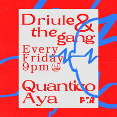DRIULE & THE GANG 497 at POWER HIT RADIO w / QUANTICO