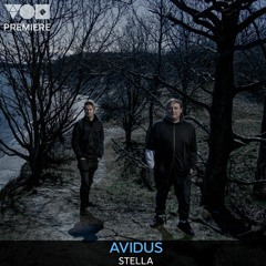 Premiere: Avidus - Stella [Oddity Records]