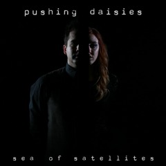 Pushing Daisies
