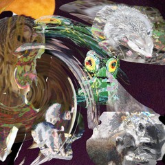 the owls the moon the rats possums and raccoons