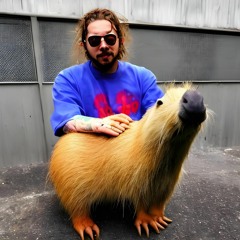 Post Malone - Congratulations (riley davis Remix)