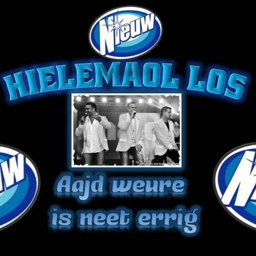 Hielemaol Los - Aajd Weure Is Neet Errig (3)