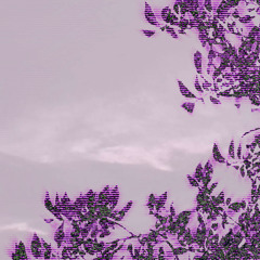 MRCYFL - NOMATTERTHECOSTS