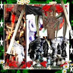 Sacred Warrior, chosen by Heaven