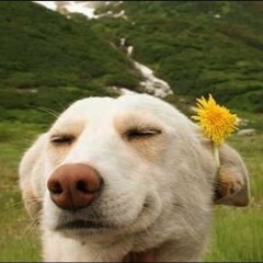 pre-00s old house and trance your mom probably raved to