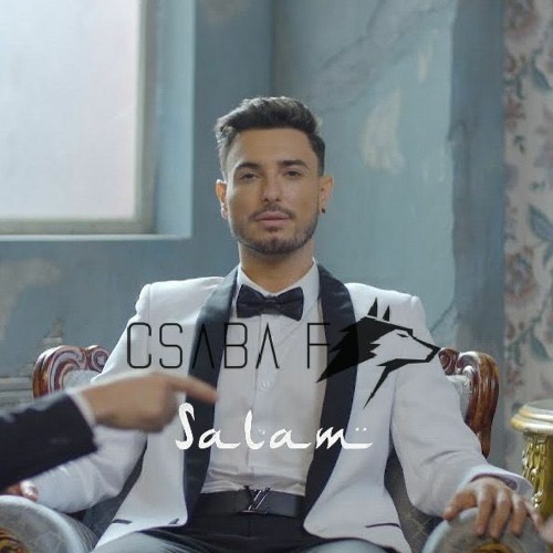 Faydee - Salam (Csaba F. Remix)