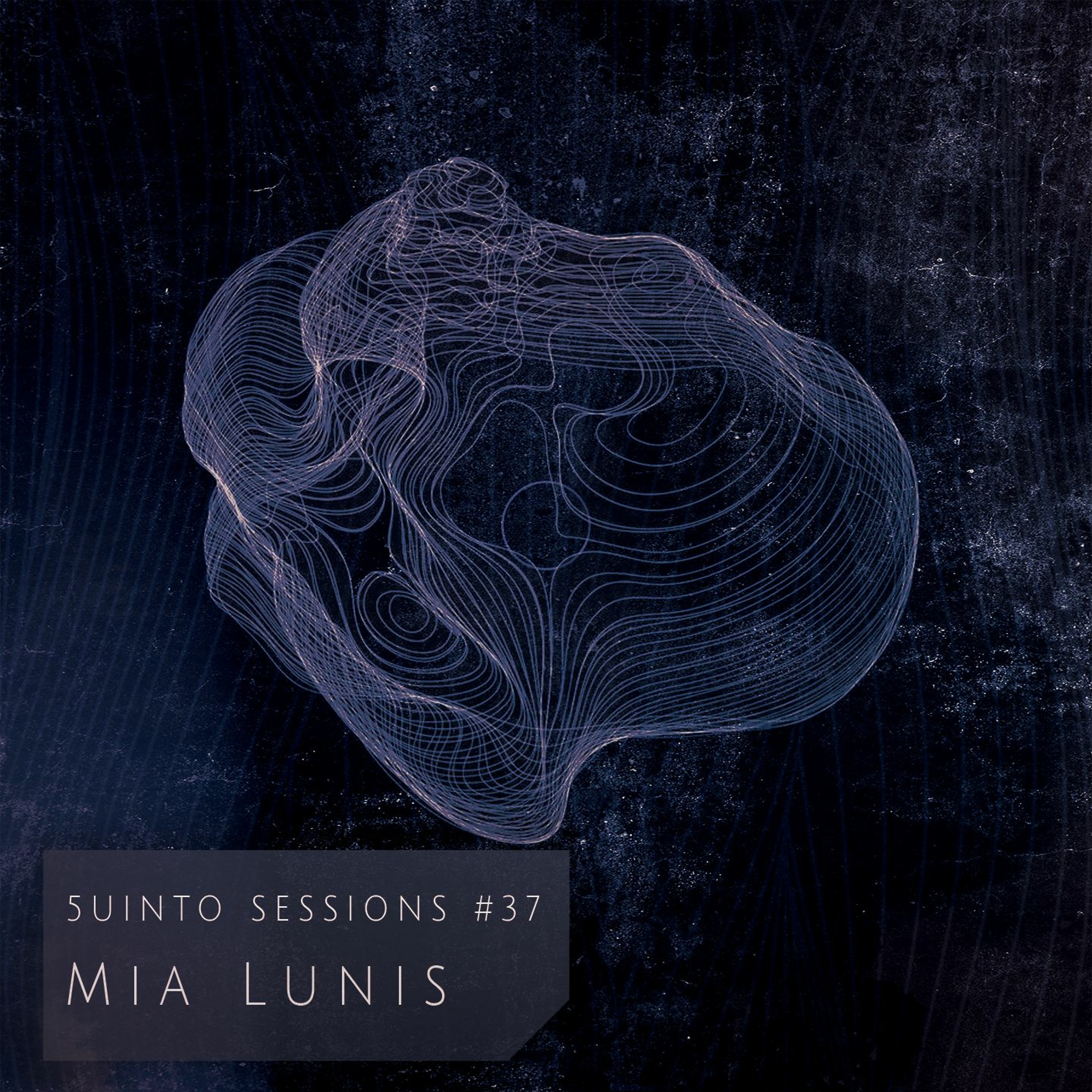 5uinto Sessions
