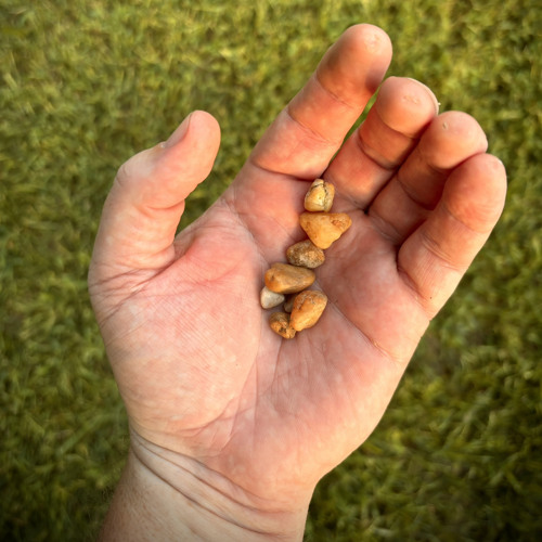 Throwing Pebbles