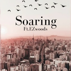 Soaring (feat.EZwoods)