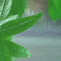 Field Recording Fetish