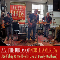 All the Birds of North America (LIVE at Barely Brothers)