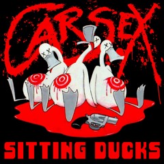 Sitting Ducks