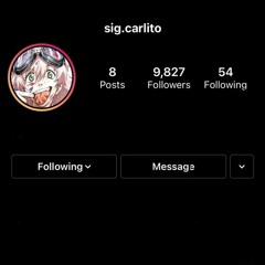 sig.carlito - lego (deleted)