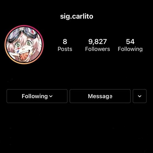 sig.carlito - lego (deleted)