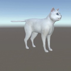 YES CAT YES CAT