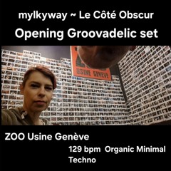 set groovadelic opening/ ZOO Usine Genève