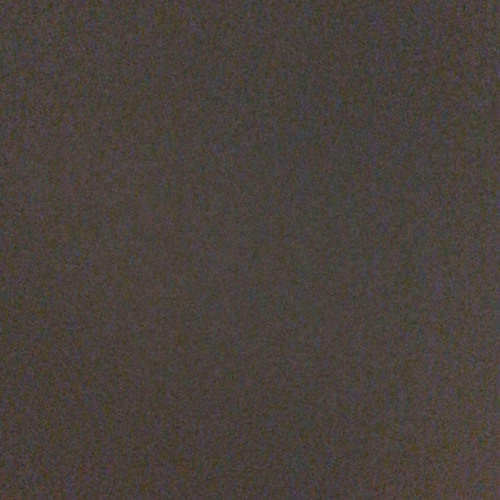 Payroll7 x 9zPlz - No Belt