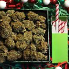 DJ J FEDD  2024 HOLIDAY TURN UP PT 1