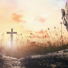 Profit - The Best 2025-04-27 17_21.m4a