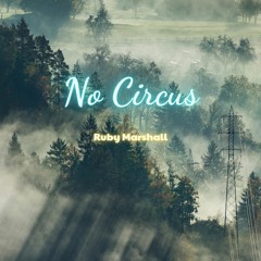 No Circus