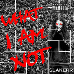 WHAT I AM NOT