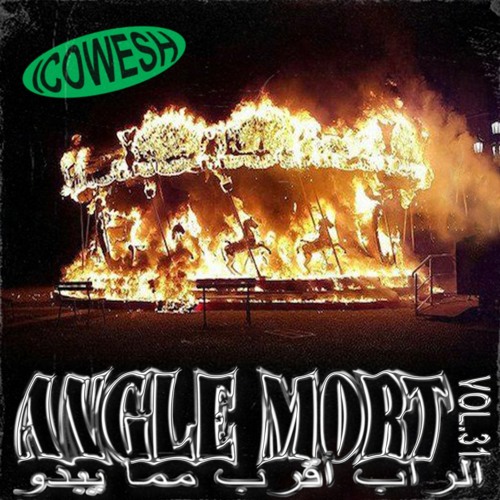 PODCAST // ANGLE MORT VOL.31 // ICOWESH