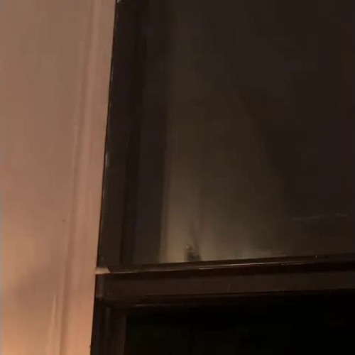 Gracie Abrams - Beige Cover (Yoke Lore)(Unreleased)
