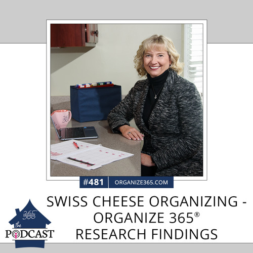481 - Swiss Cheese  Organizing - Organize 365® Research Findings