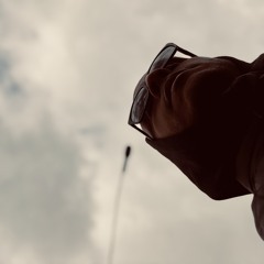 Ñ$₽- C45-5  (Demo)