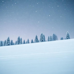 MrSausage - Snowflakes